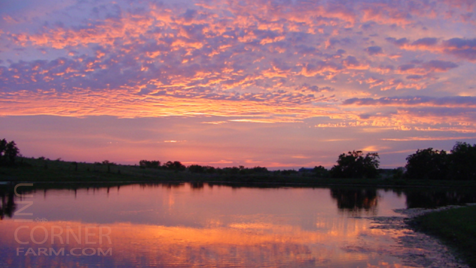 Texas Sunset